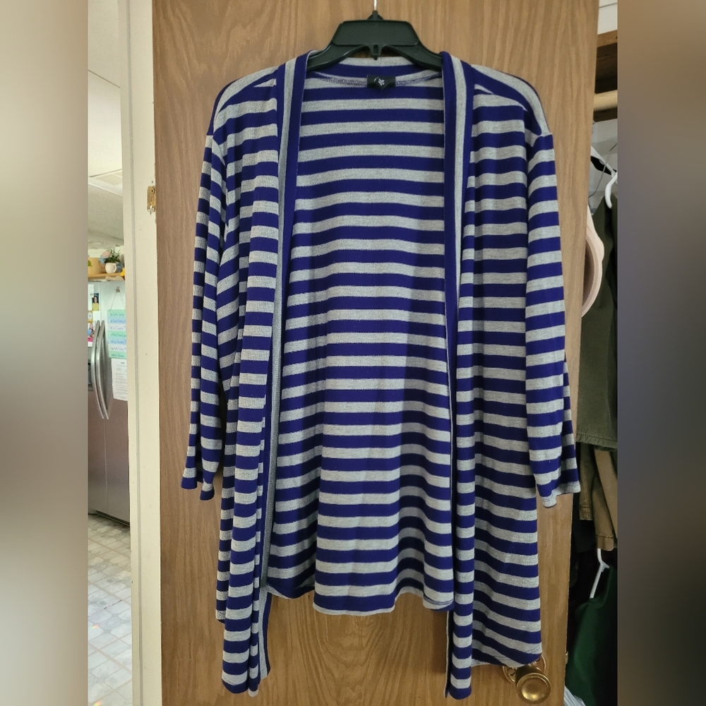 Blue and Gray torrid sweater